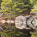 Evening Falls Softly - Algonquin Park