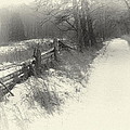The Road Less traveled By