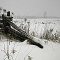 Fence in Snow