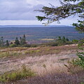 View from Kirk Hill Across to Cape Split